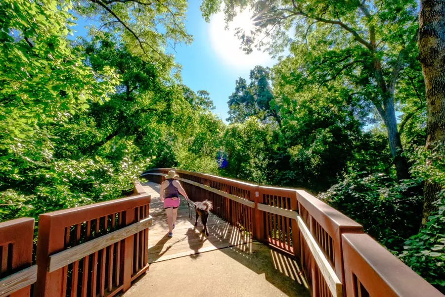 20160605 DSCF6357 HDR