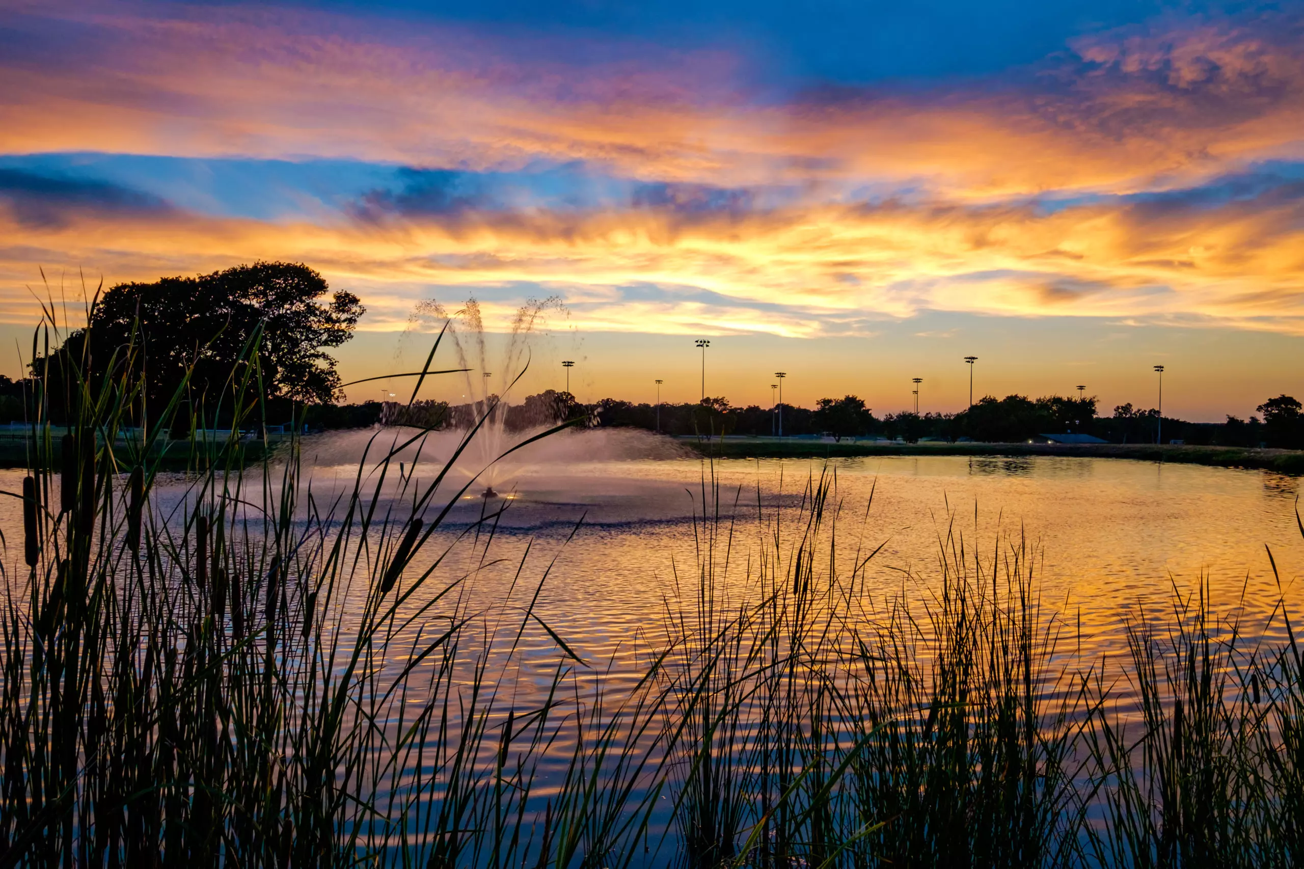 20170621 DSCF5104 HDR scaled