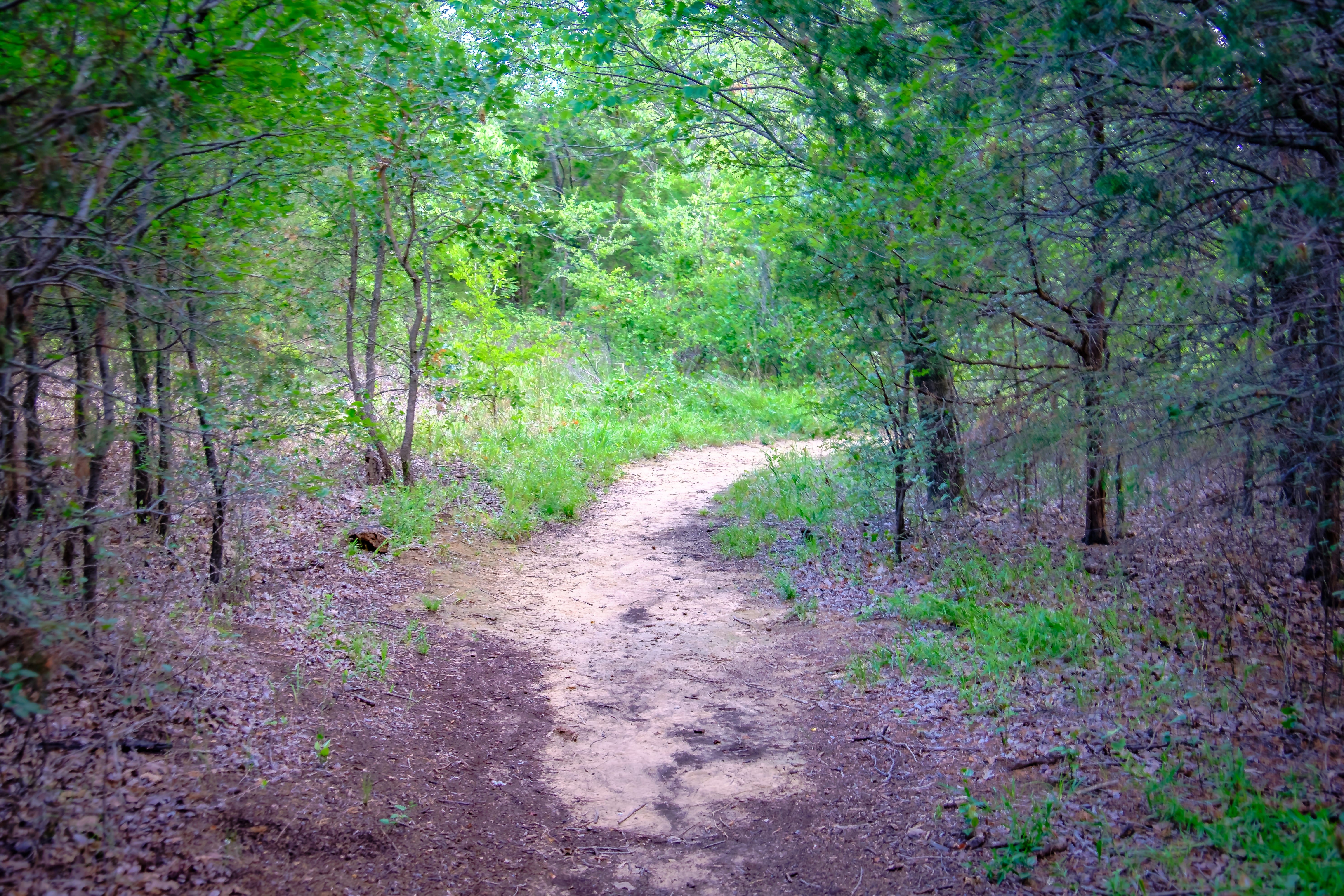 20170622 DSCF4785 HDR