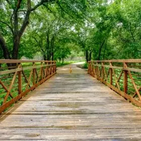 20170624 DSCF4898 HDR