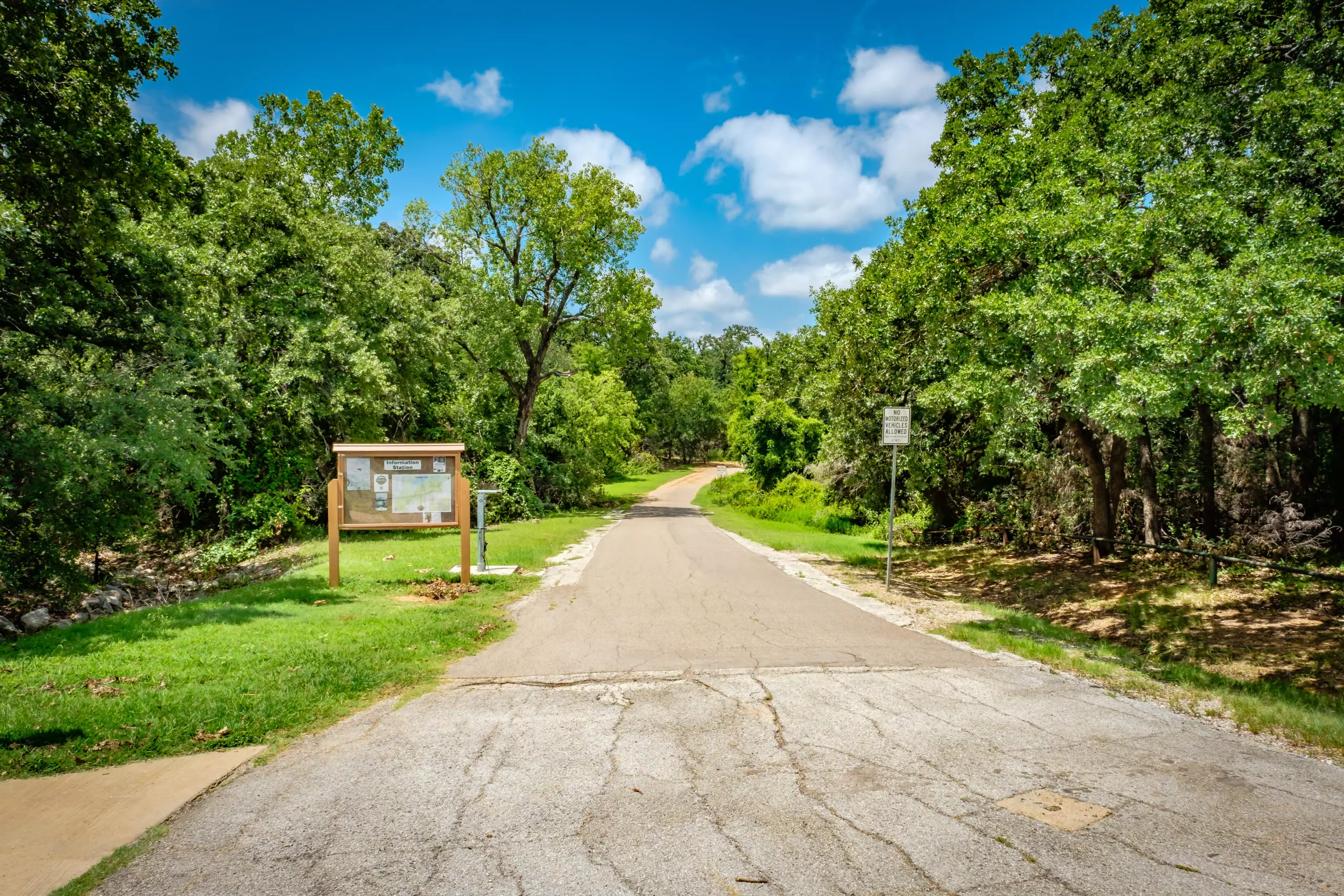 20170629 DSCF5331 scaled