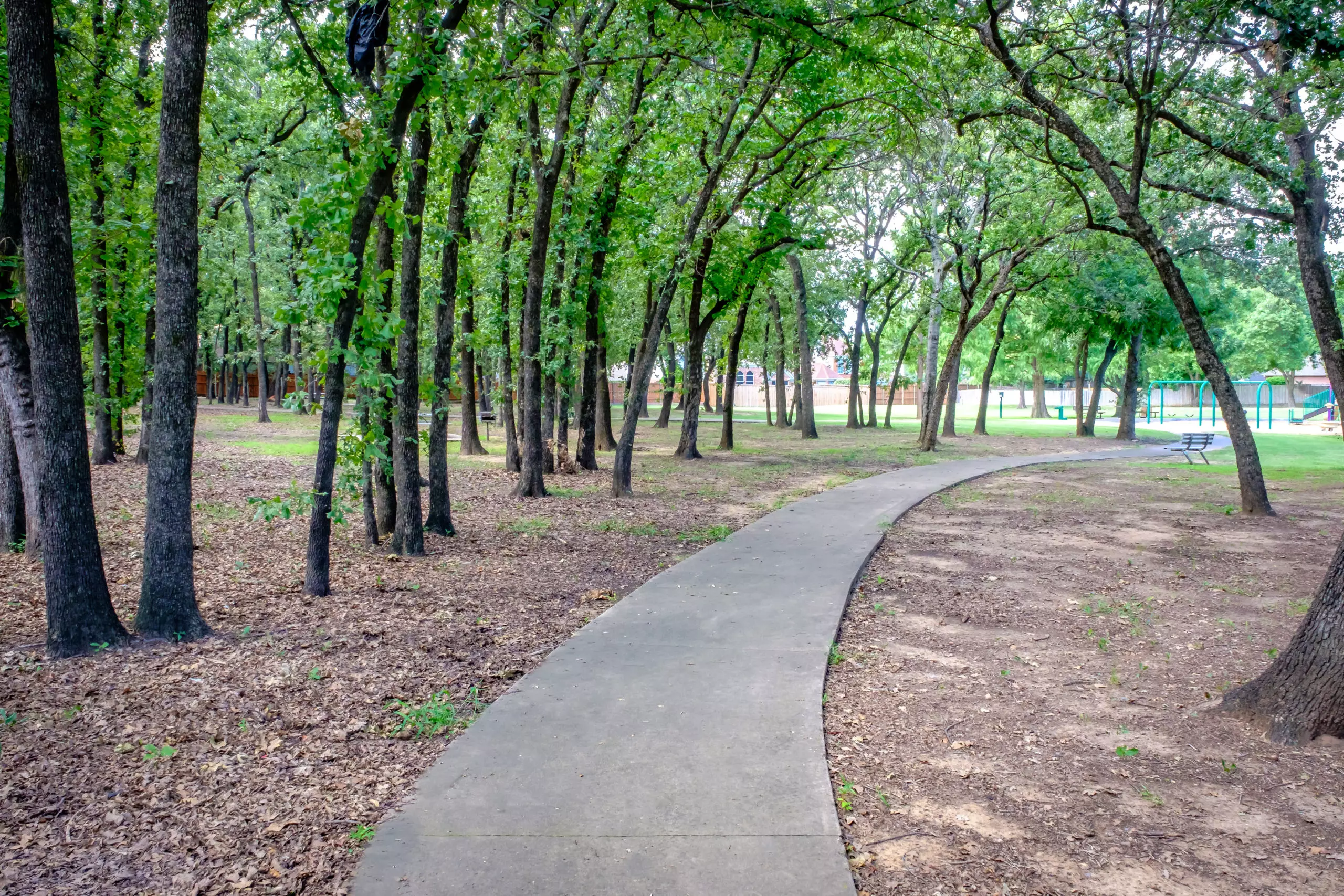 20170714 DSCF5849 scaled