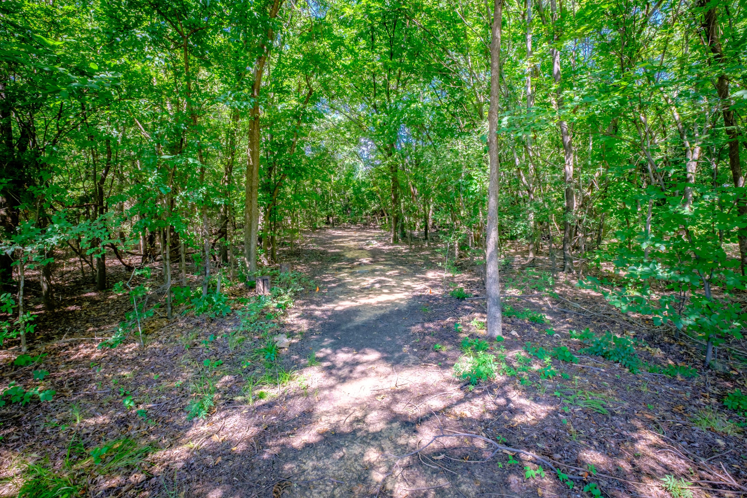 20170718 DSCF6095 HDR scaled