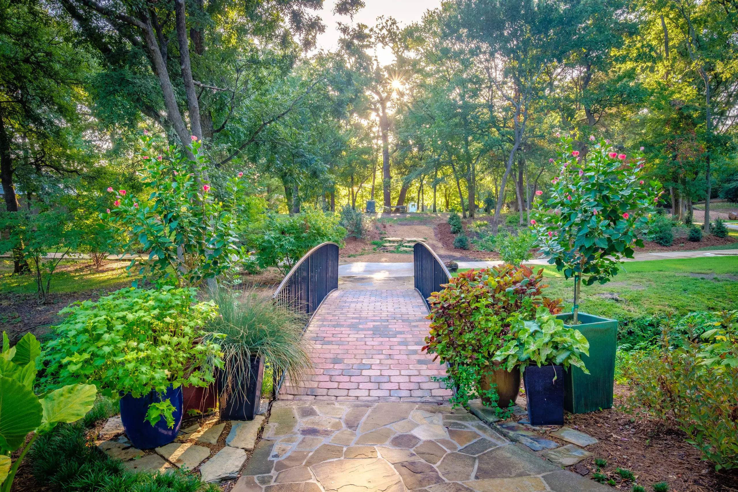 20200814 DSCF3834 HDR  scaled