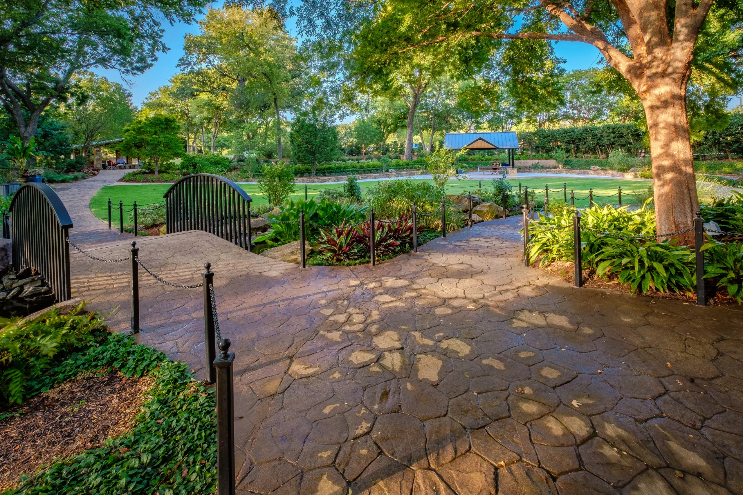 20200814 DSCF3849 HDR  scaled