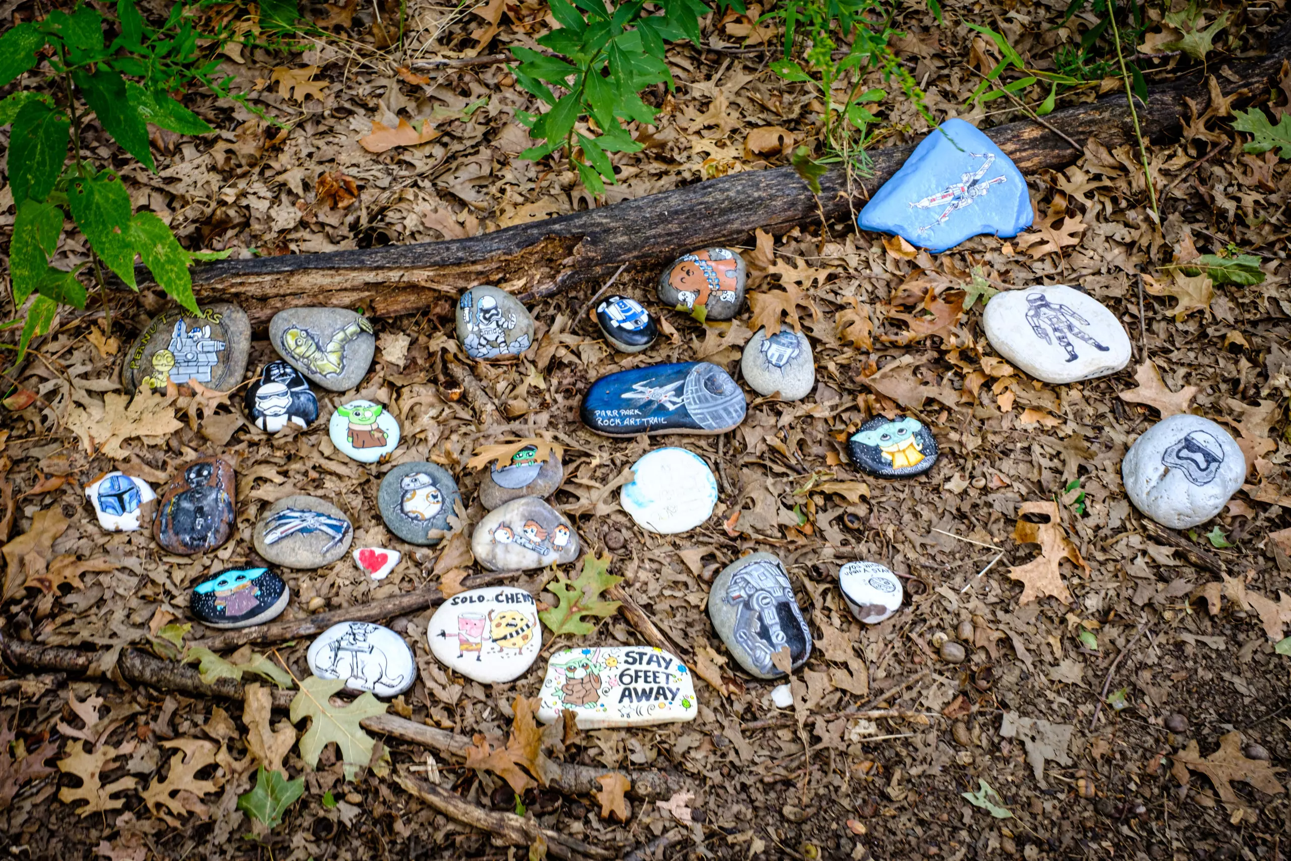 20200816 DSCF3700  scaled