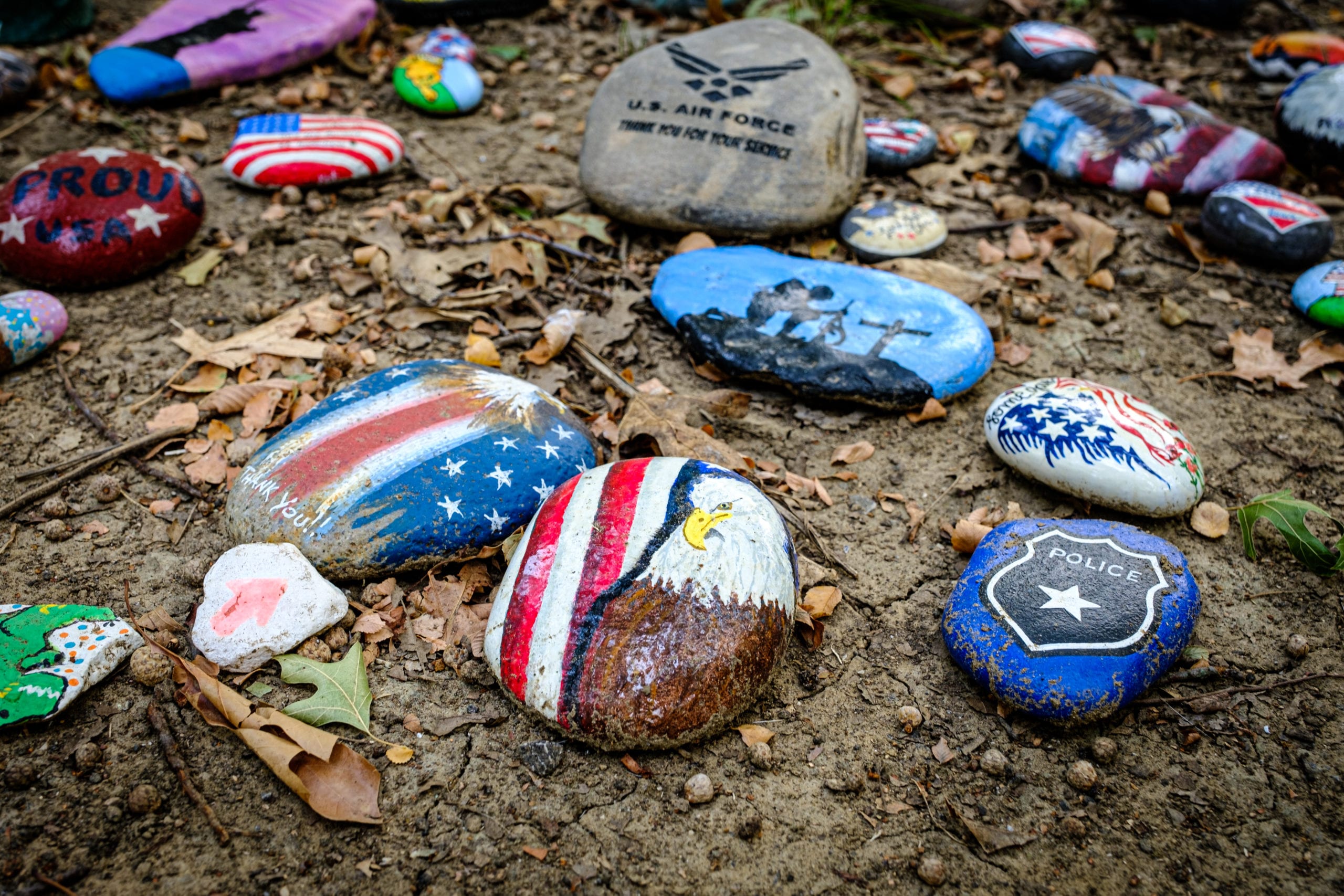 20200816 DSCF3705  scaled