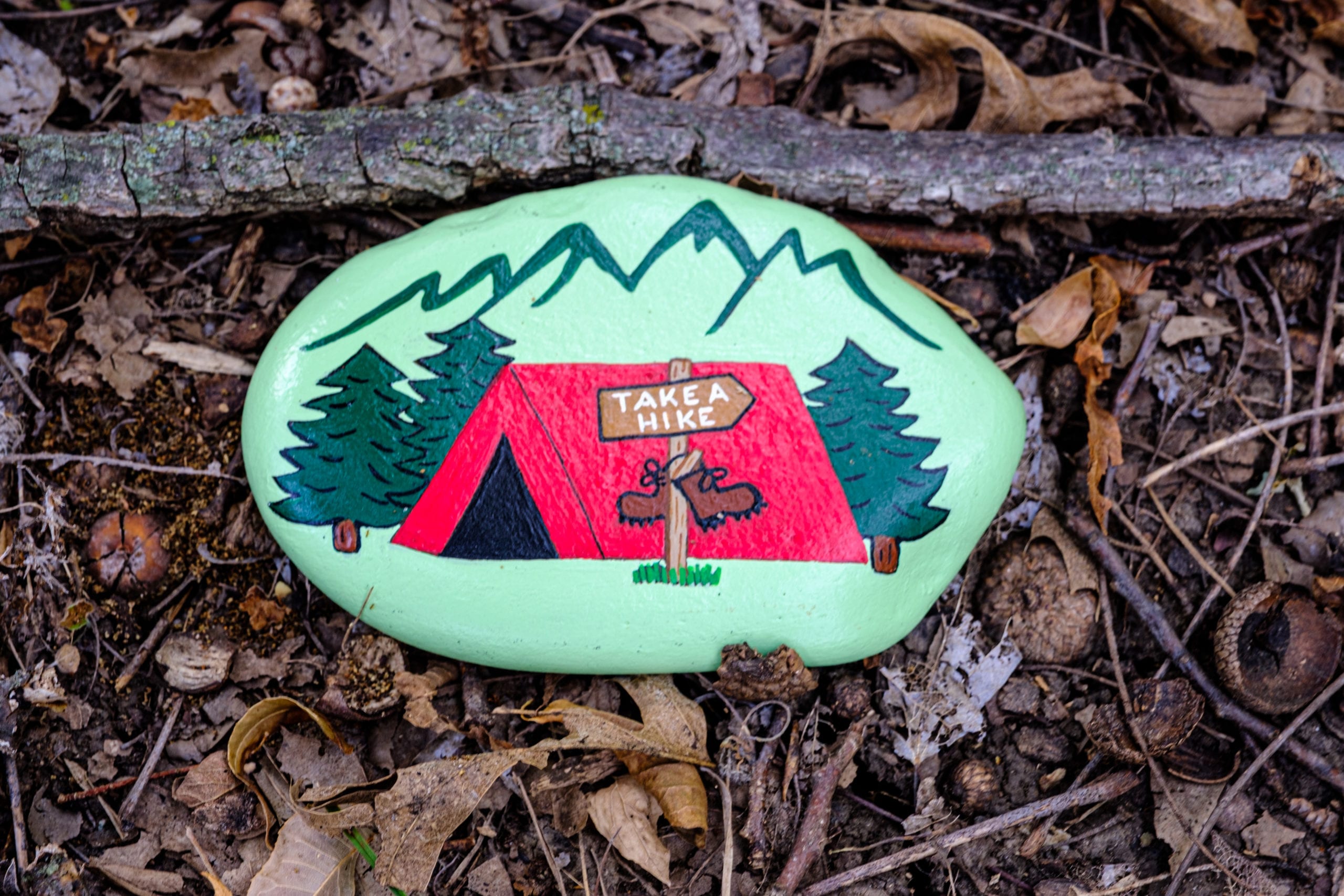 20200816 DSCF3715  scaled