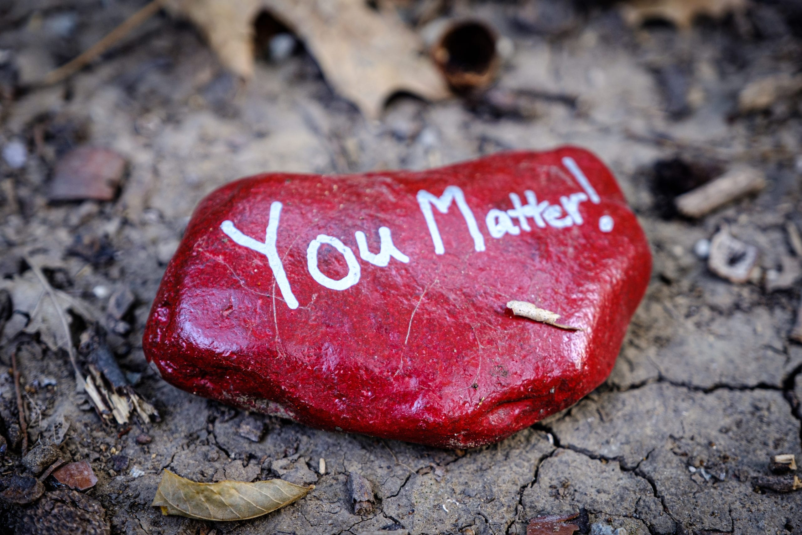 20200816 DSCF3717  scaled