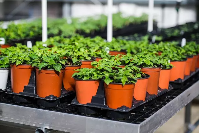 32610181325 a3c2d8ebcc z