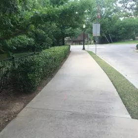 34855730782 3361c978f1 z