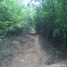 34993739286 8aaa39c853 z