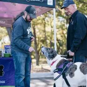 49012612283 862f8c9158 c