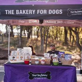 49012657678 4d1da1c365 c