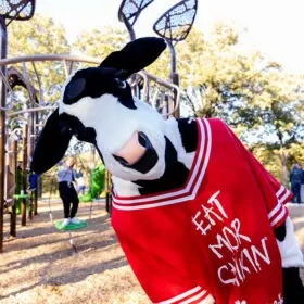 52470561978 2fb810fdf0 c