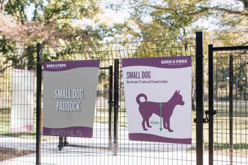 D7A2364 e1573712626860