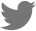 Twitter Icon