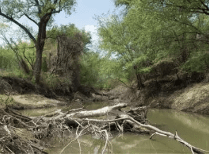 Screen Shot 2022 11 04 at 2.07.26 PM