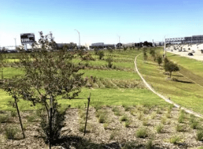 Screen Shot 2022 11 04 at 2.07.37 PM