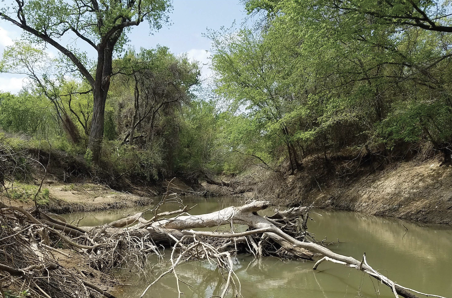 Screen Shot 2022 11 04 at 4.20.16 PM