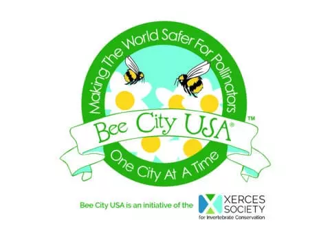 Bee City 24x24 Street Sign webimage 480x336.jpg