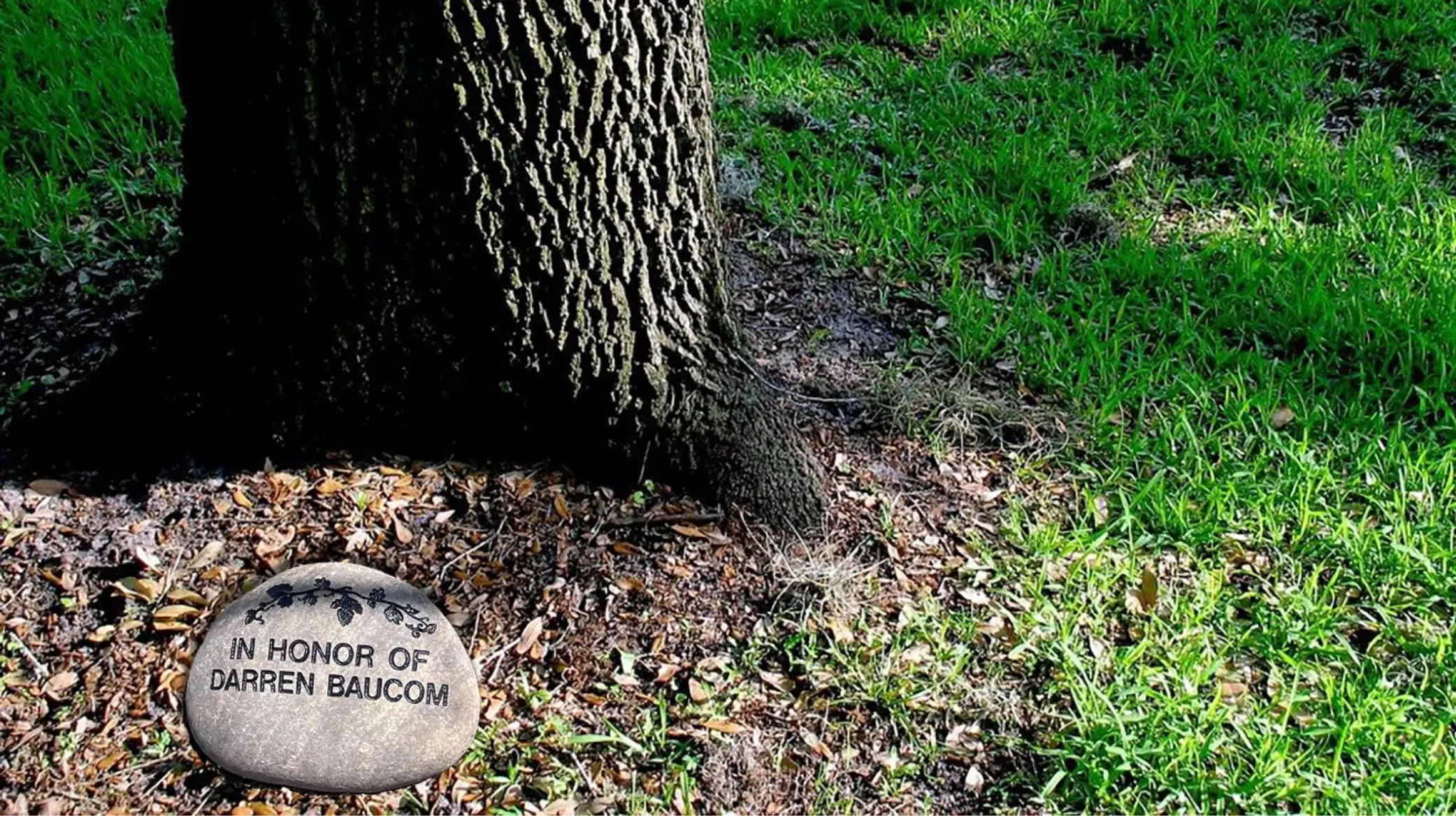 webimage livinglegacy.jpg